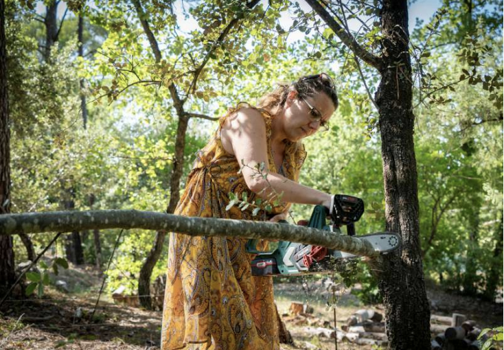 Tronçonneuse et branches pour oiseaux