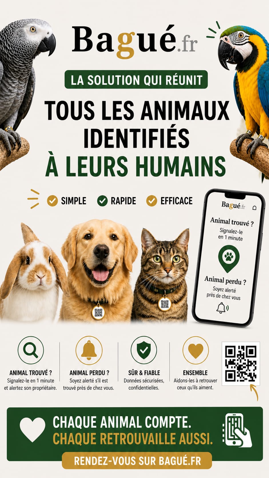 bagué.fr - Plateforme pour animaux perdus et trouvés
