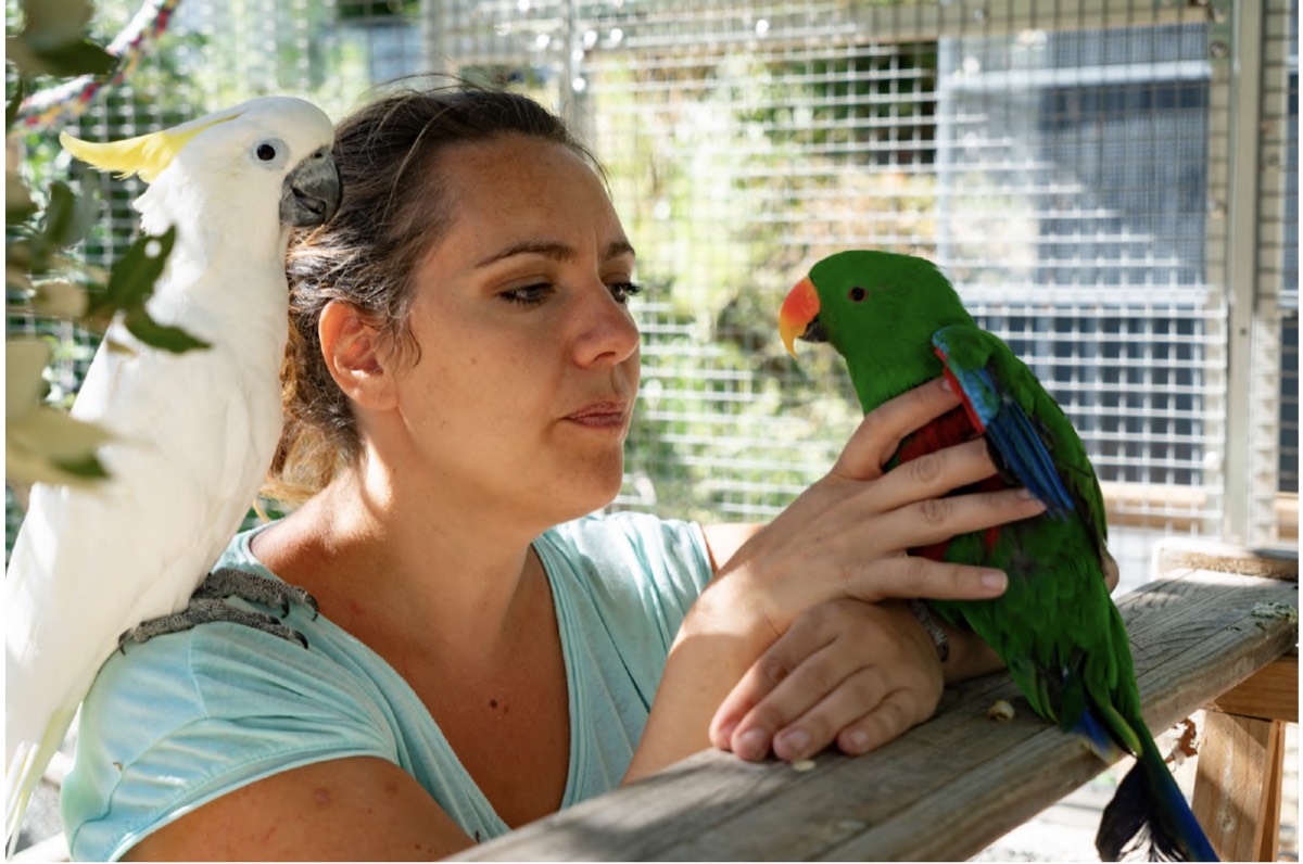 Muriel LaVolière avec César le perroquet - Association de protection des oiseaux