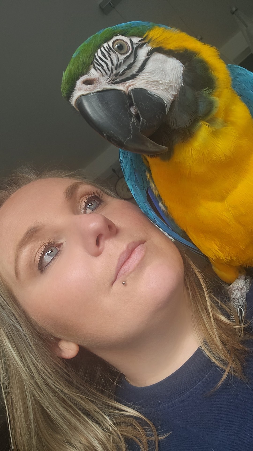 Angie - Responsable administratif